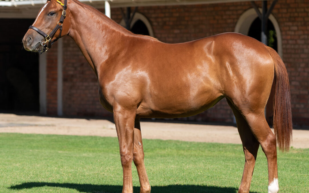 LOT 162 LADY OF ABUNDANCE