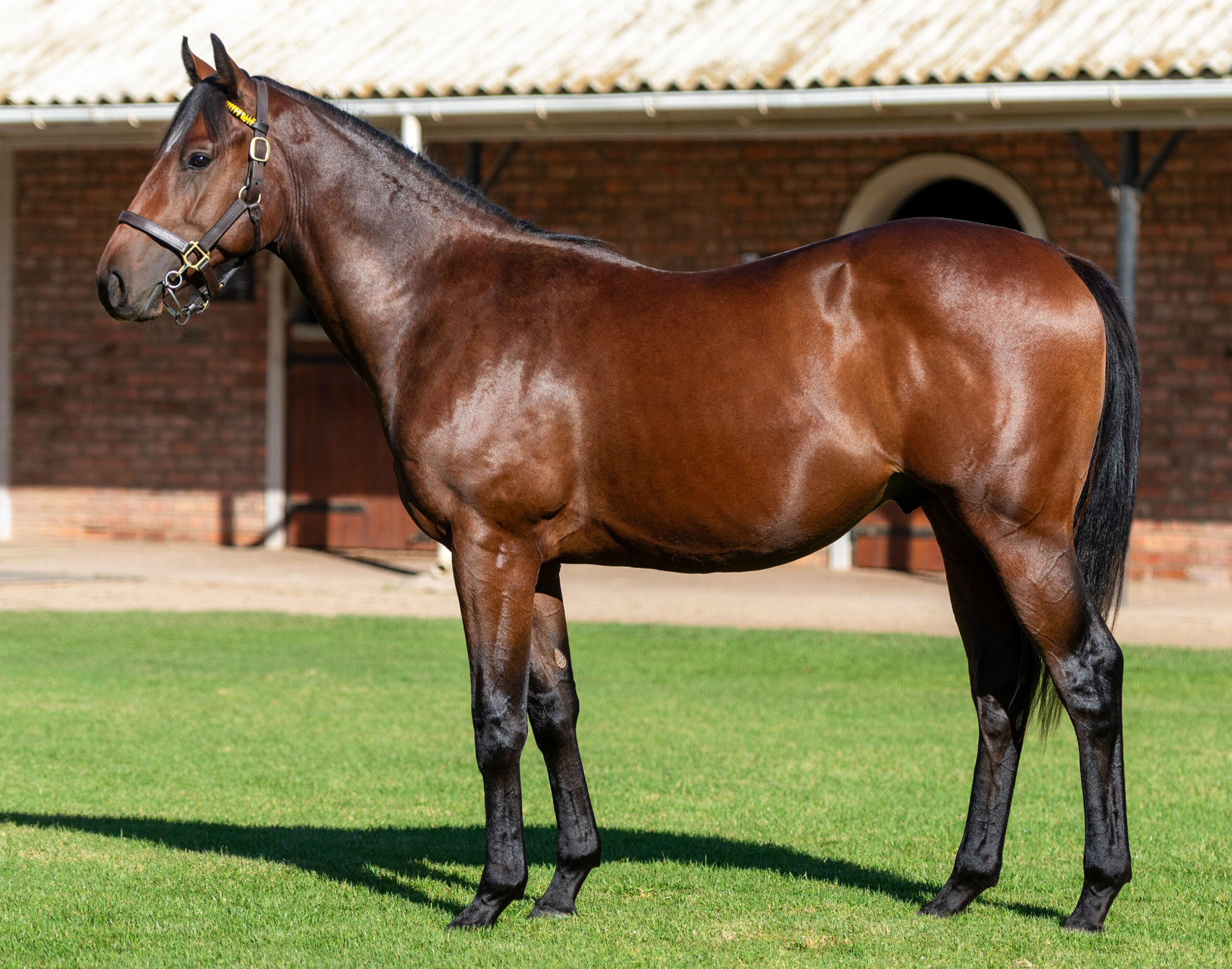 LOT 325 TIME IS PRECIOUS