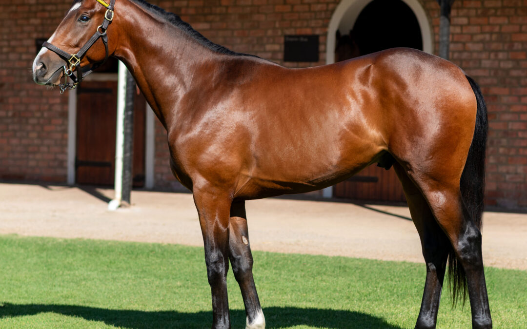 LOT 1 GOLDEN DAGGER