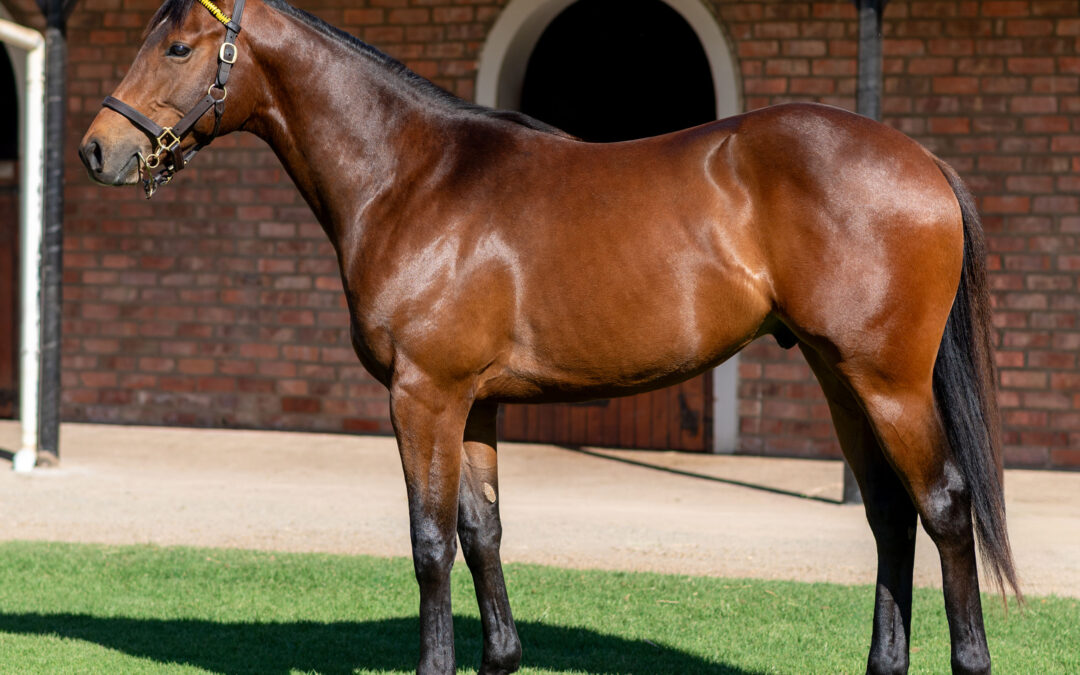 LOT 49 PEARLY BEACH