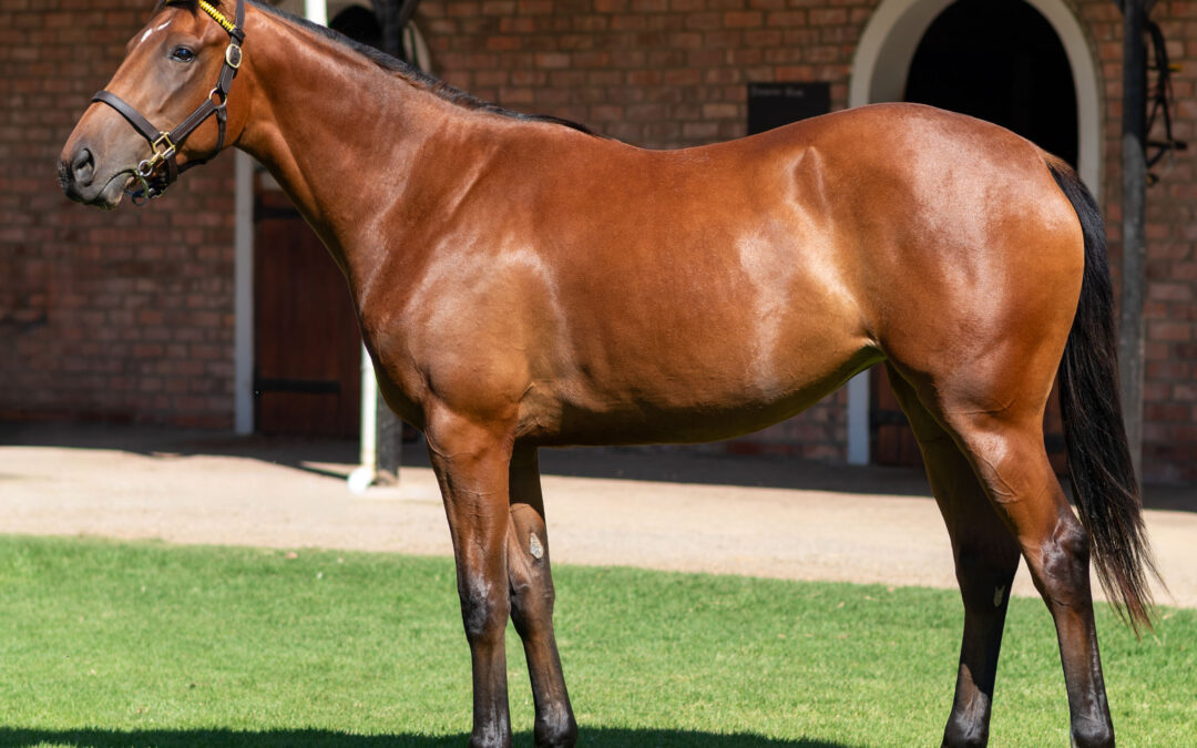 LOT 65 SWEET FAYE