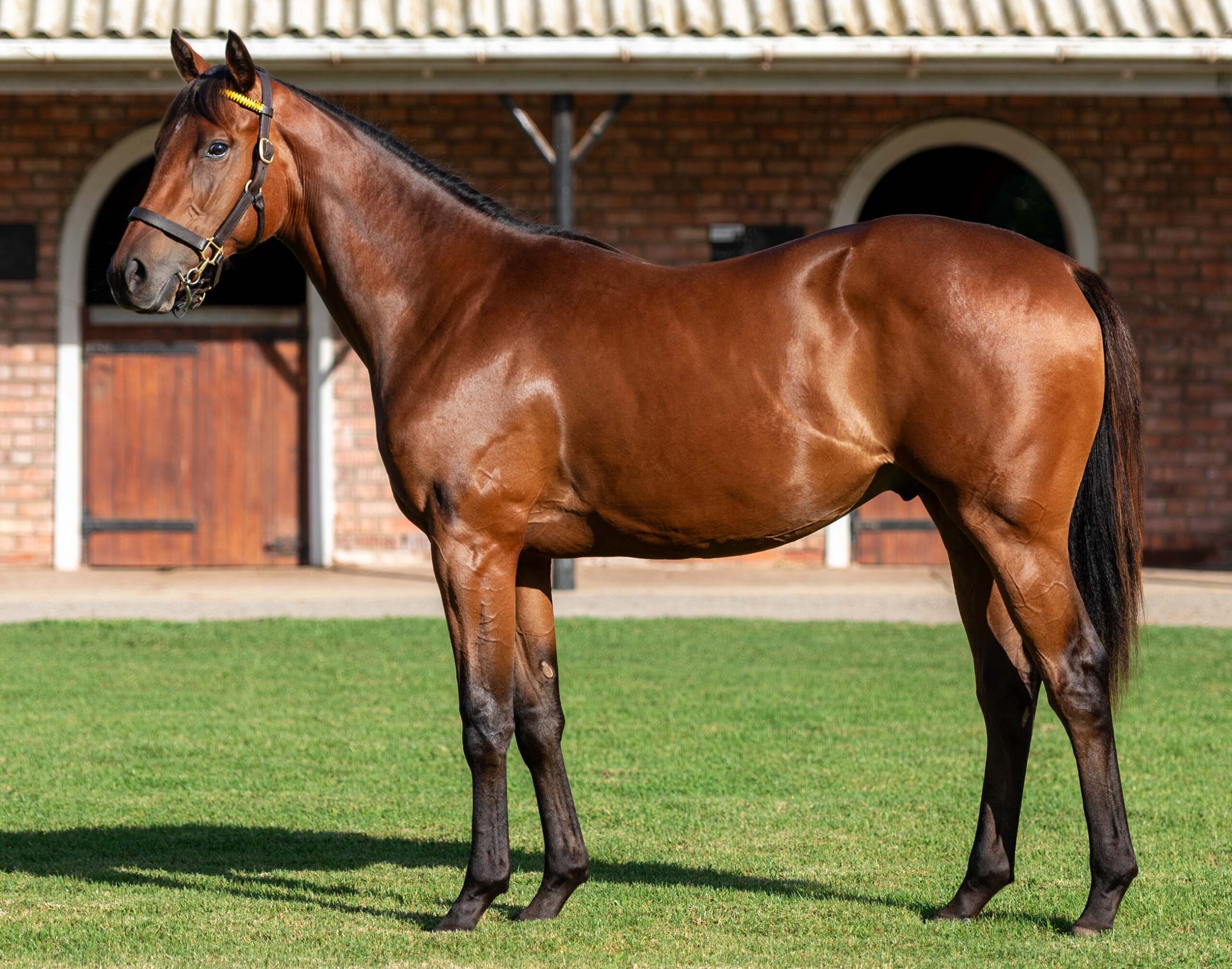 LOT 128 TULSA TIME