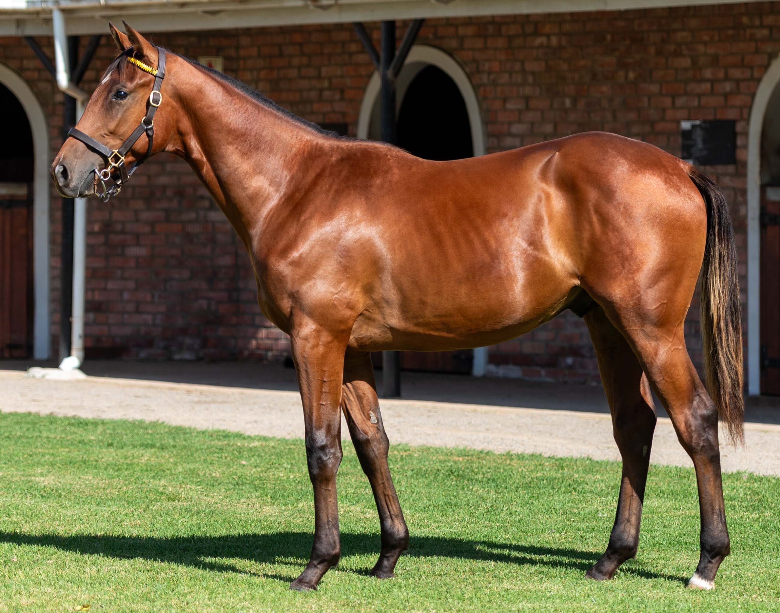 LOT 168 BLUE RIDGE