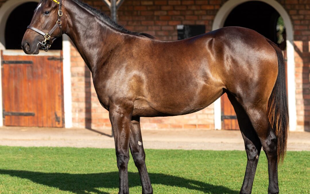 LOT 2 KATY NICHOLE