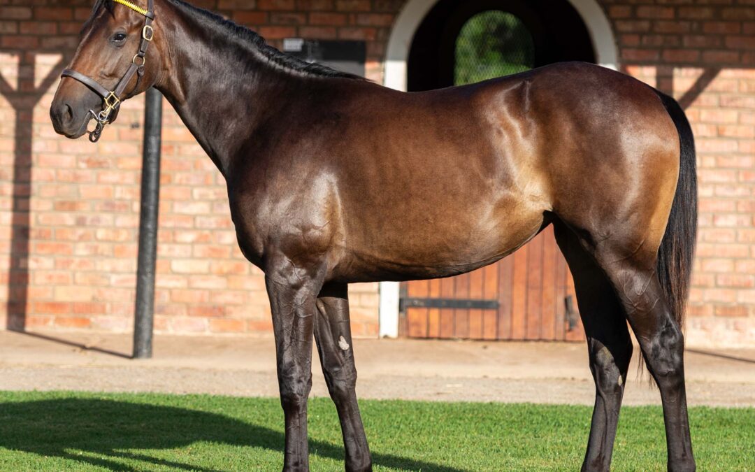 LOT 244 GOOD LUCK GIRL