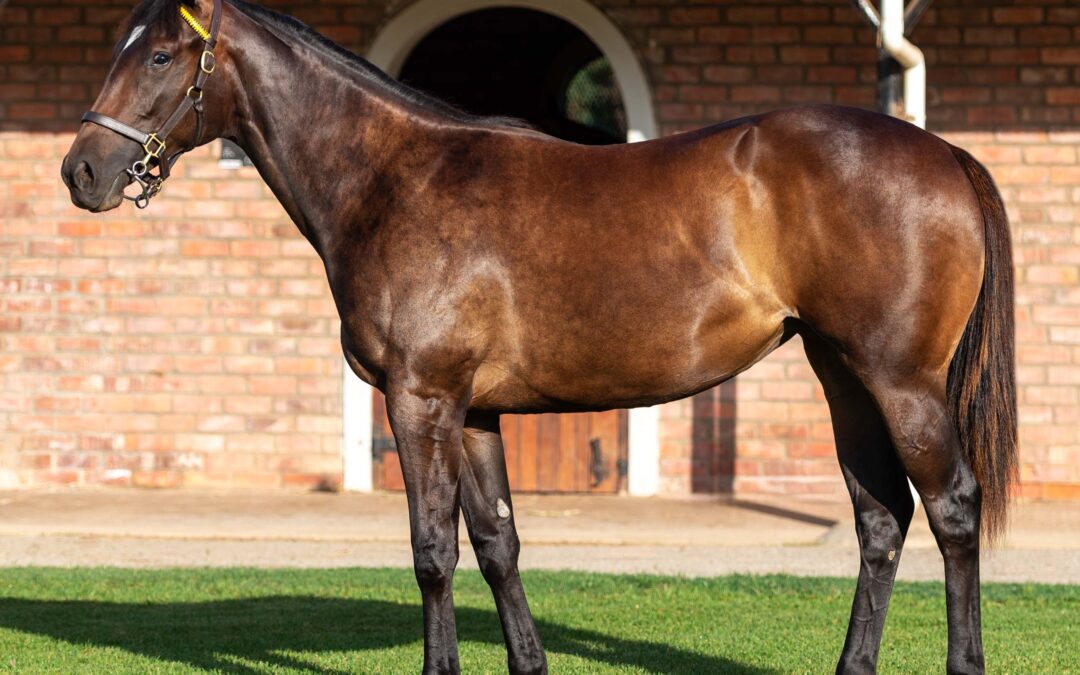 LOT 251 GEMMA WINTER