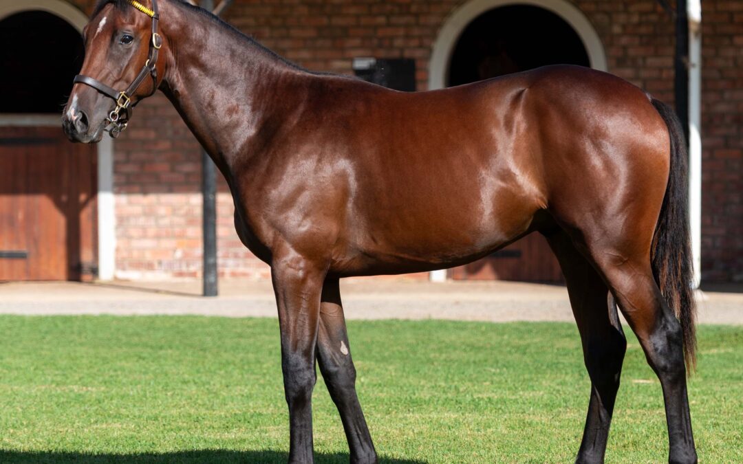 LOT 45 OAKHAM
