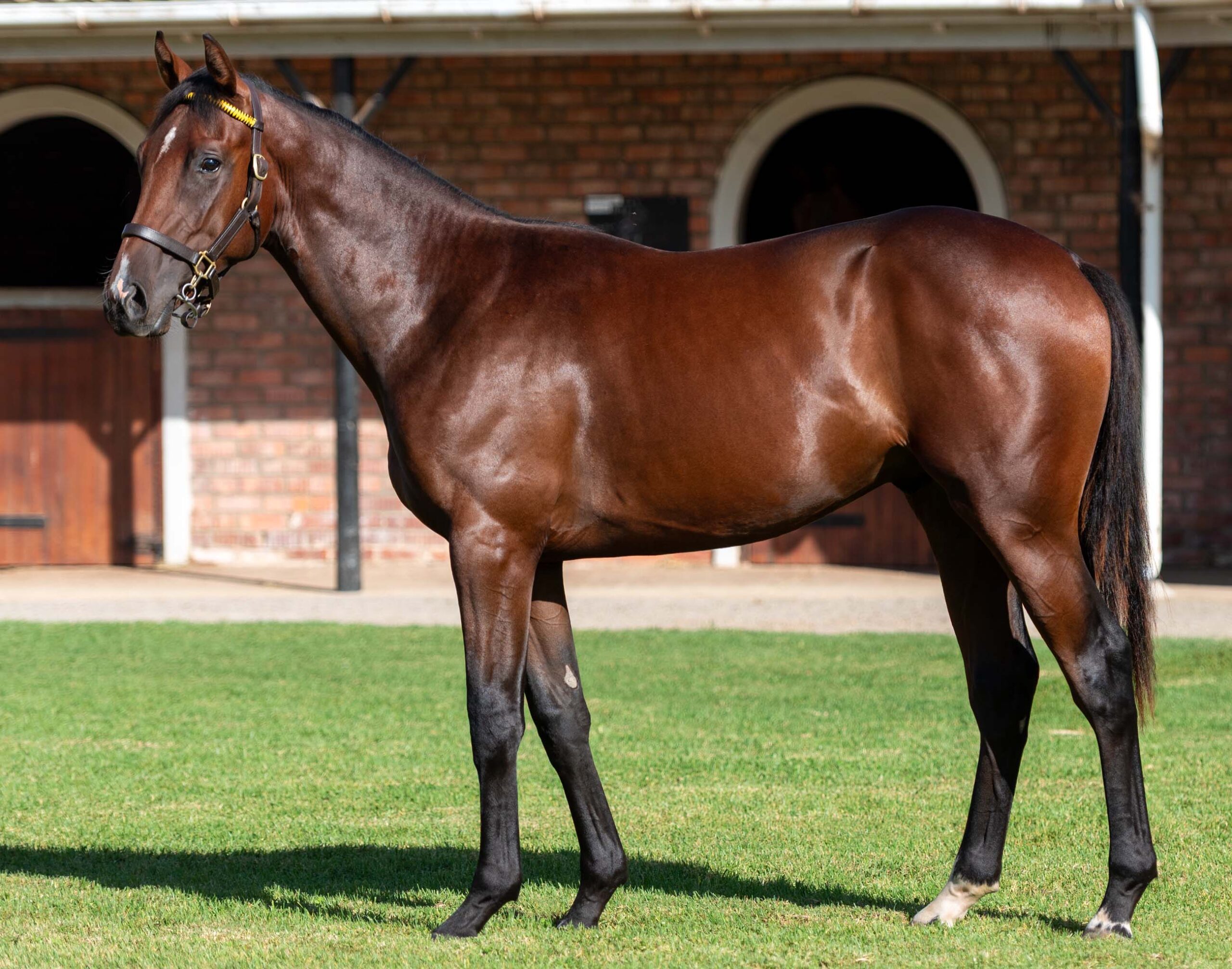 LOT 45 OAKHAM