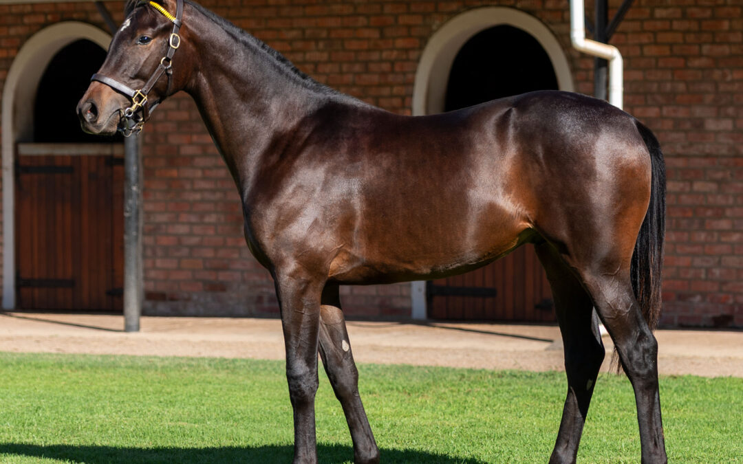 LOT 152 PALACE OF GOLD