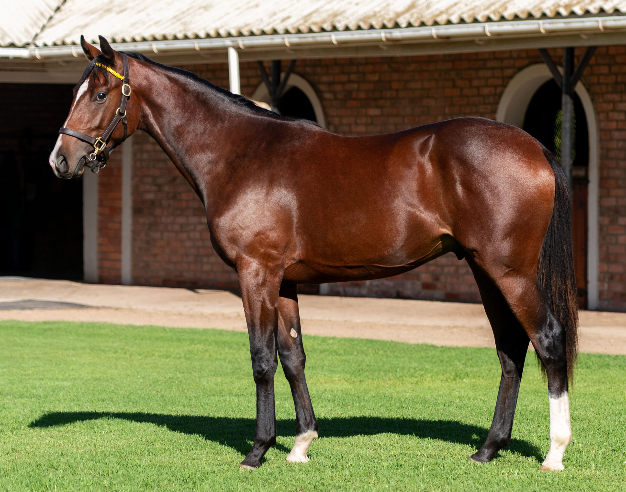 LOT 153 PACIFIC COAST