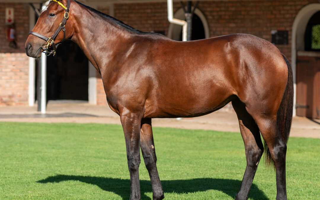 LOT 209 SILVER HEART