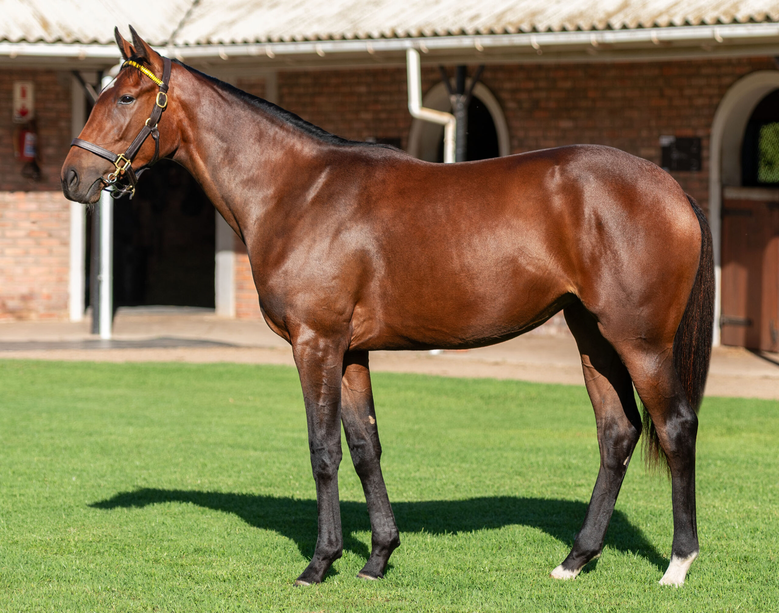 LOT 209 SILVER HEART