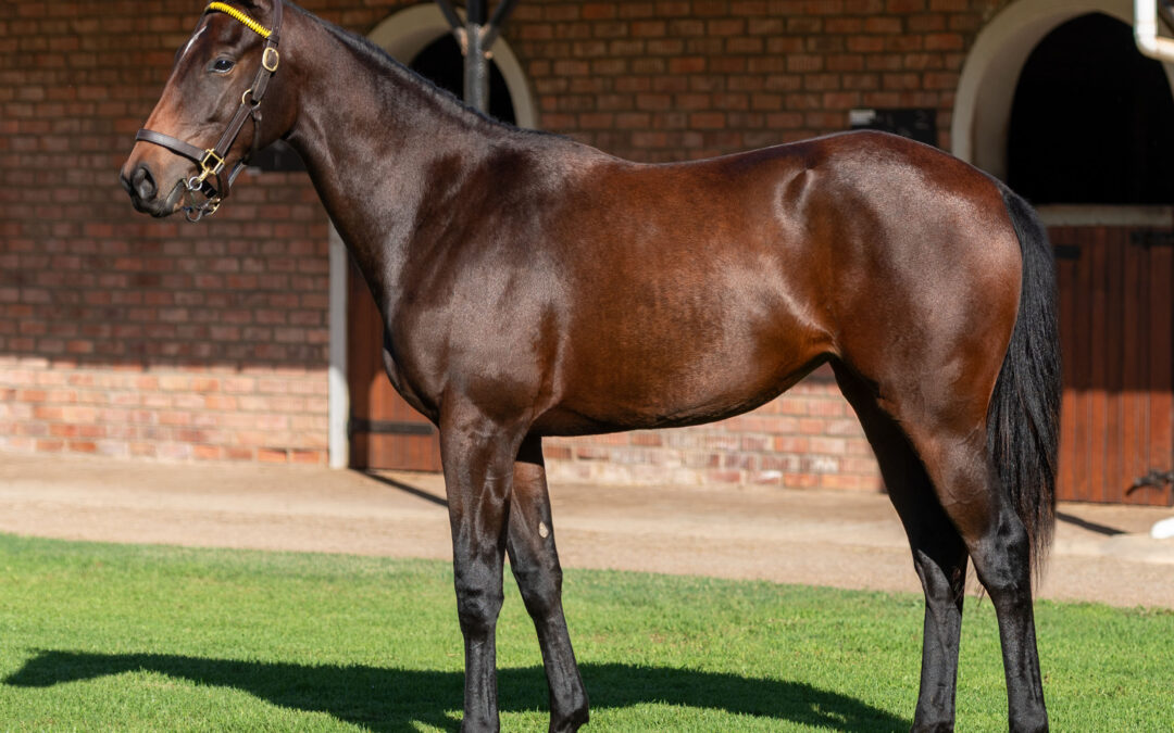 LOT 238 SUSAN STORM