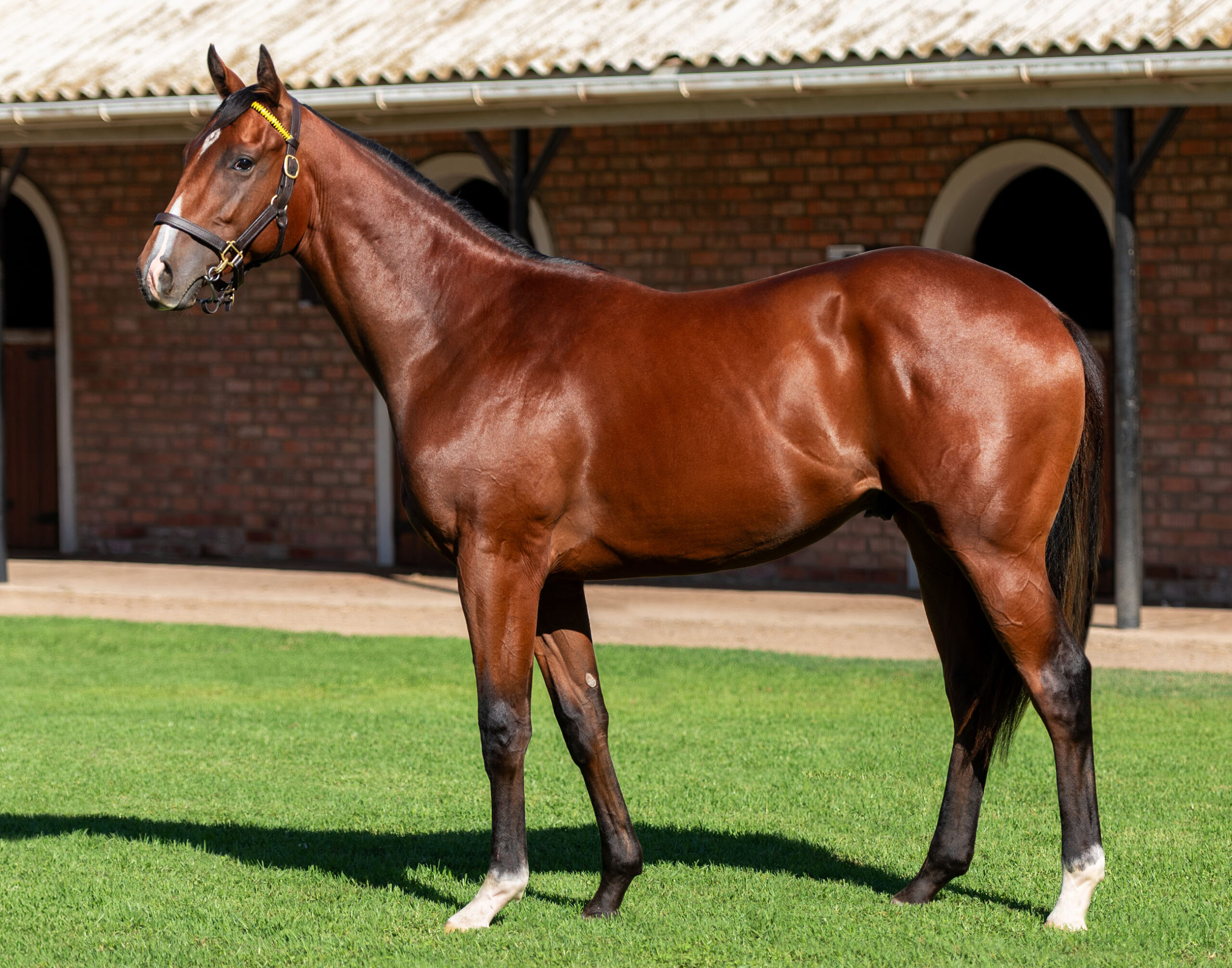 LOT 41 GRANZIN