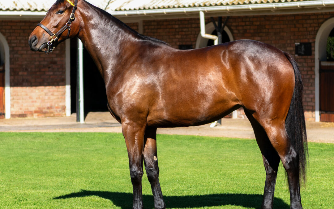 LOT 115 CELESTIAL CHARM