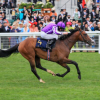 ROYAL ASCOT 19-June-2021. Chesham Stakes
POINT LONSDALE and Ryan Moore win for trainer Aidan O’Brien from REACH FOR THE MOON.
HEALY RACING